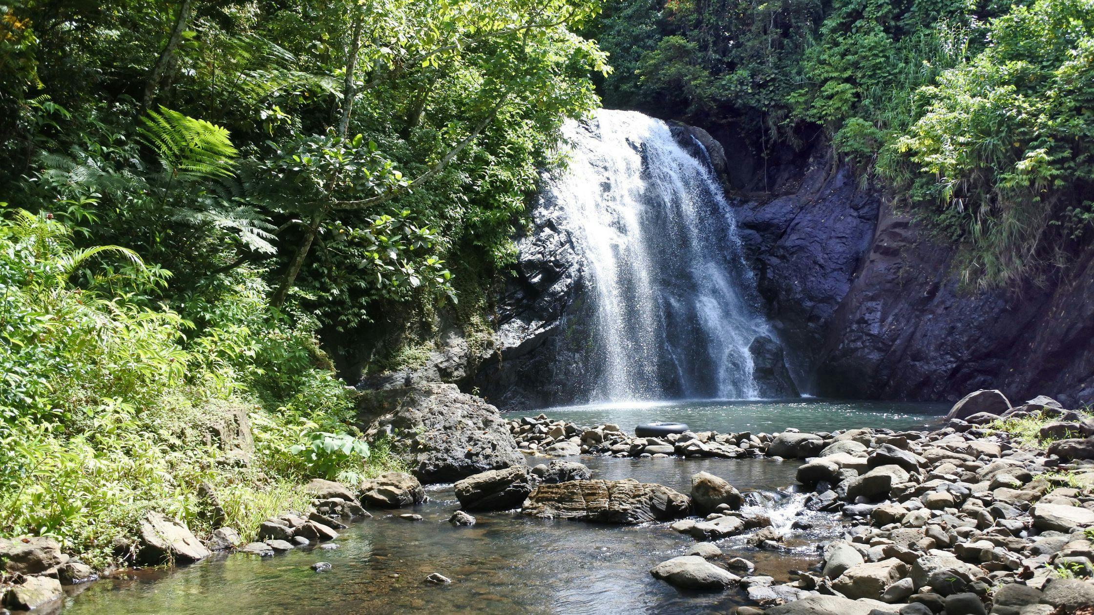 Hike to Waterfalls and Rainforests